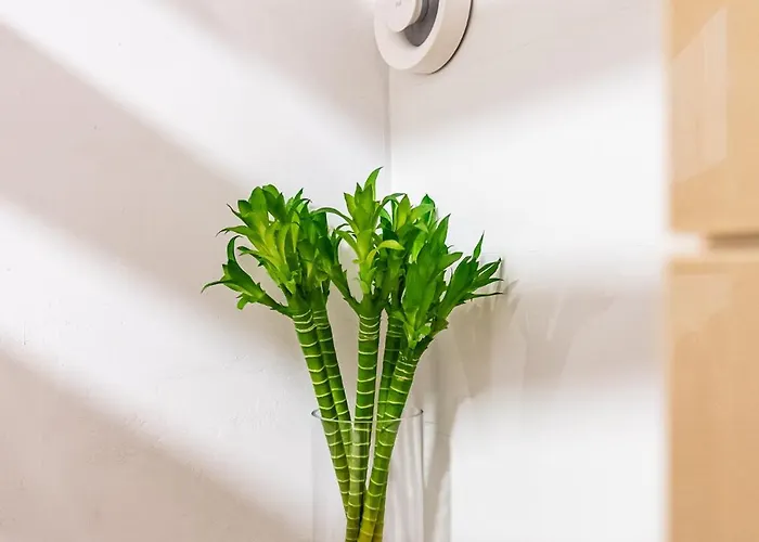 Angel 2bdrm Modern Apartamento