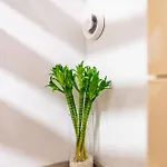 Angel 2bdrm Modern Apartamento