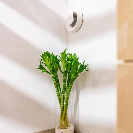 Angel 2bdrm Modern דירה