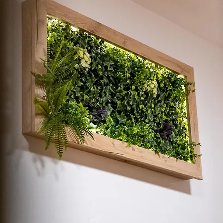 Angel 2bdrm Modern וארנה